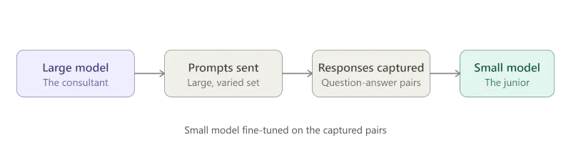 AI distillation process overview